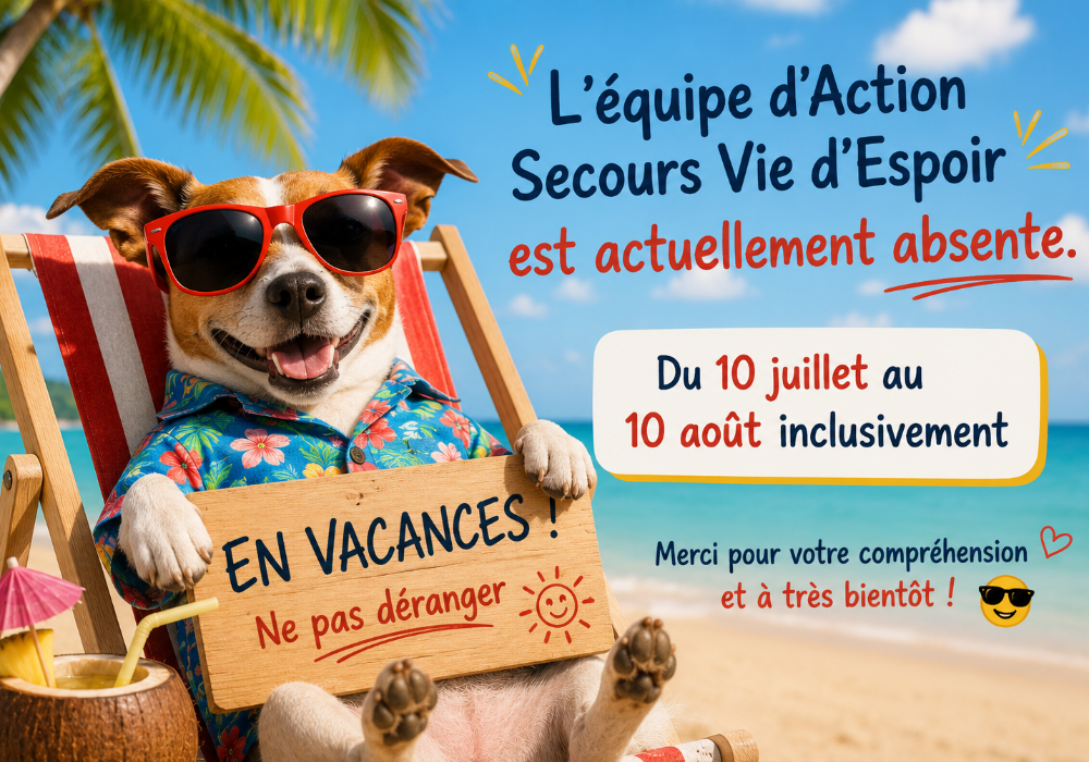 PAUSE ESTIVALE - VACANCES